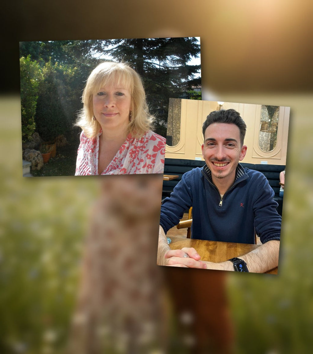 Campo de flores al atardecer - Revive