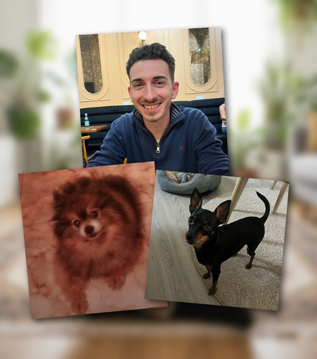 Interior con mascota - Revive