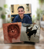 Interior con mascota - Revive