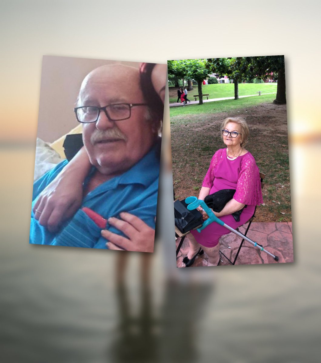 Mar al atardecer - Revive