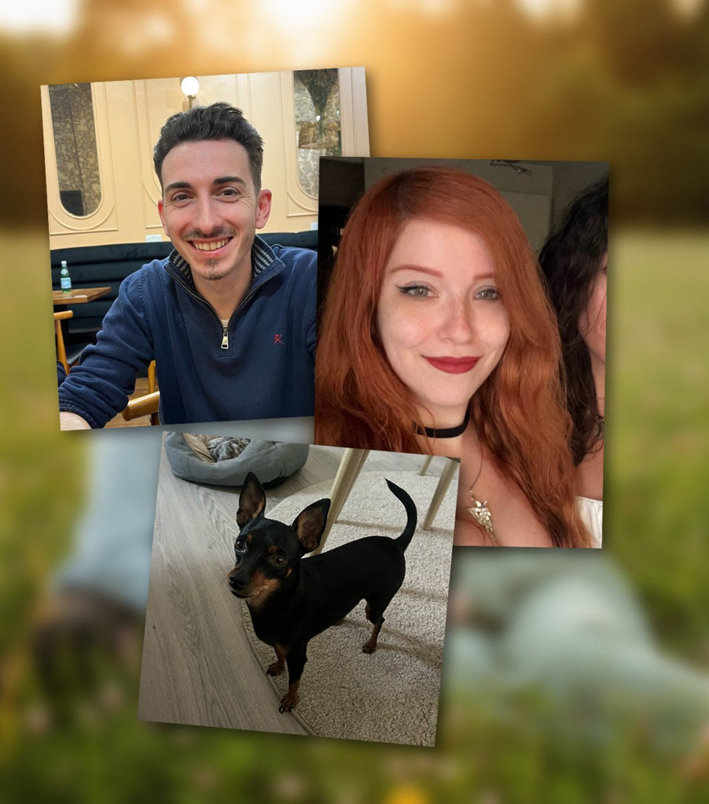 Prado al atardecer con mascota - Revive